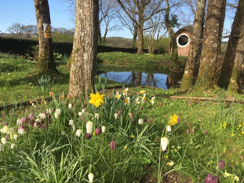 Totleigh Barton pond and pod writing house with flowers