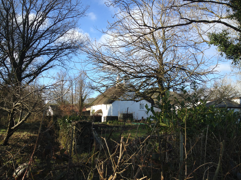 Totleigh Barton house and garden in winter